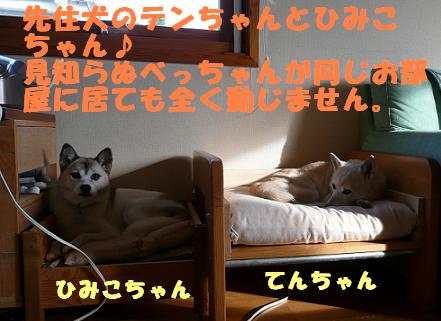 f0121712_2319237.jpg