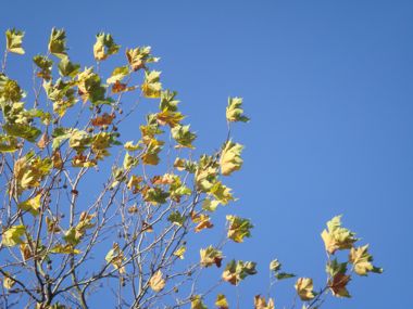 e0114020_20141764.jpg