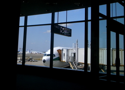 d0098022_145556.jpg