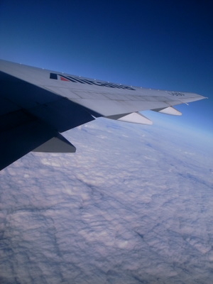 d0098022_1471663.jpg