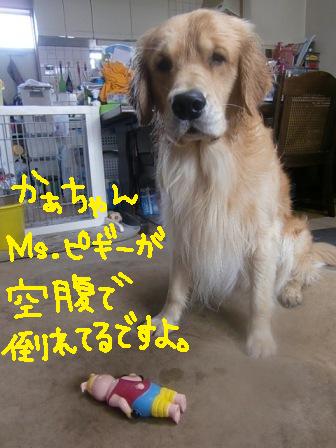 f0176830_1512064.jpg