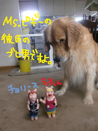 f0176830_15151632.jpg