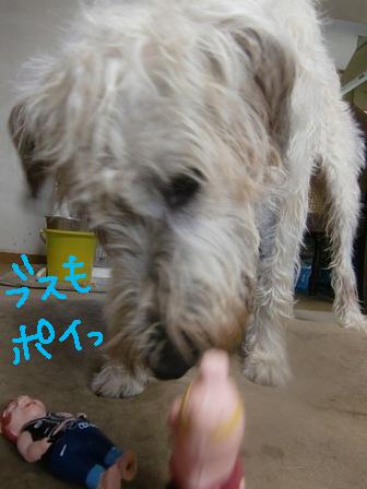 f0176830_15201338.jpg