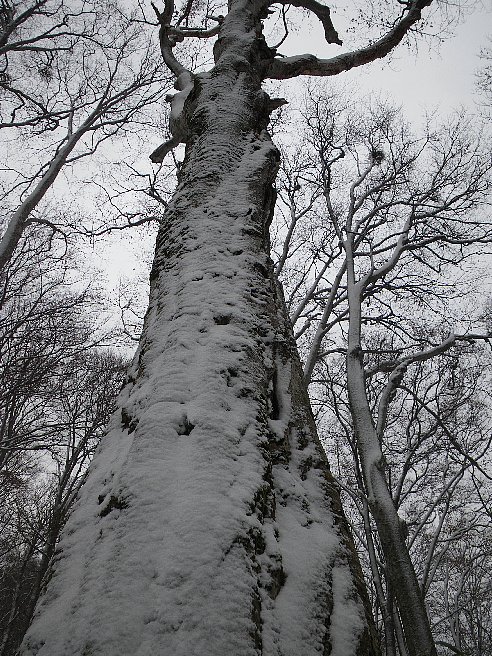 f0118332_21101892.jpg