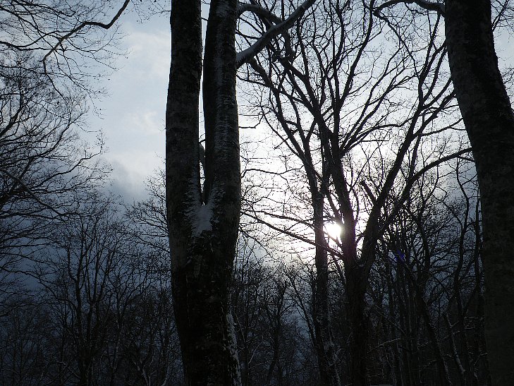 f0118332_2110751.jpg