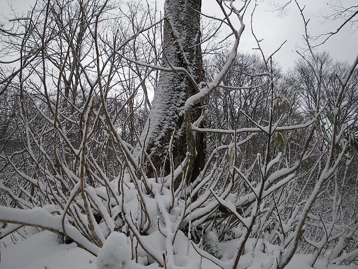 f0118332_2134019.jpg