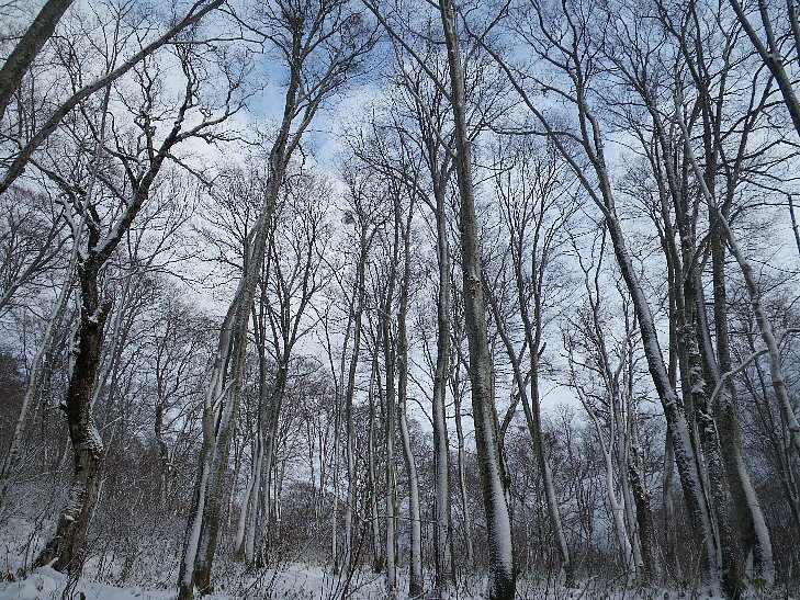 f0118332_2151150.jpg
