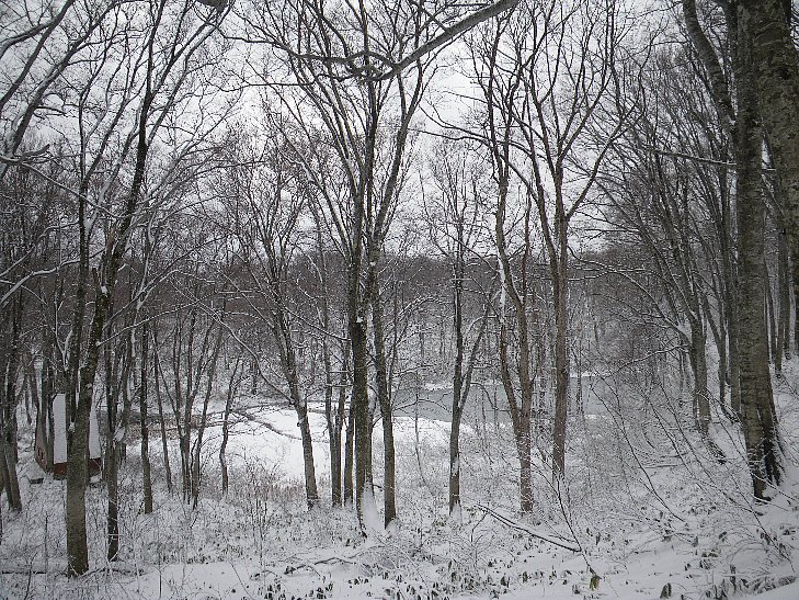 f0118332_2171051.jpg