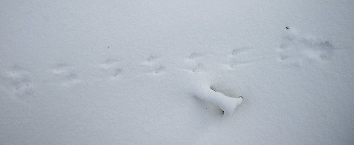 f0118332_218891.jpg