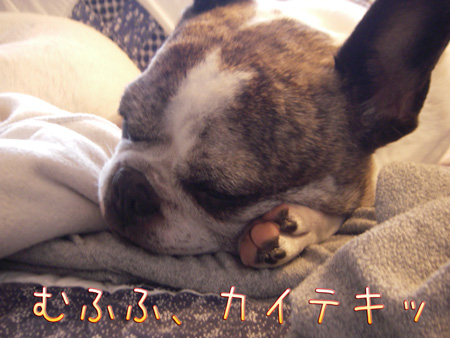 e0008833_13462664.jpg