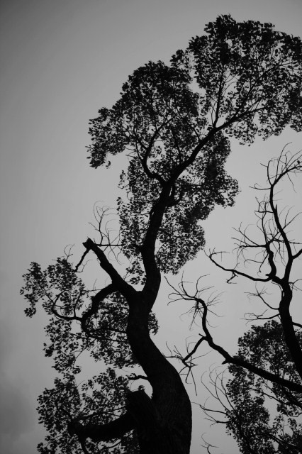 c0202541_042836.jpg