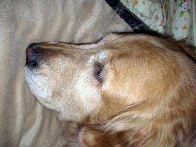 e0023643_2322252.jpg