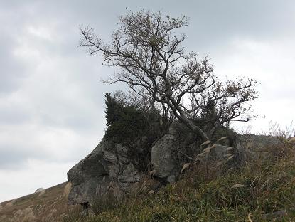 e0164643_16583616.jpg