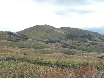 e0164643_168412.jpg