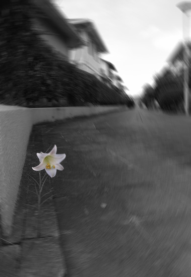 c0214345_16584015.jpg