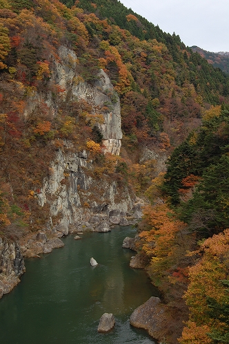 a0138449_011664.jpg