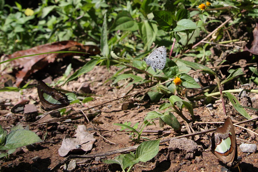 a0094850_2119911.jpg
