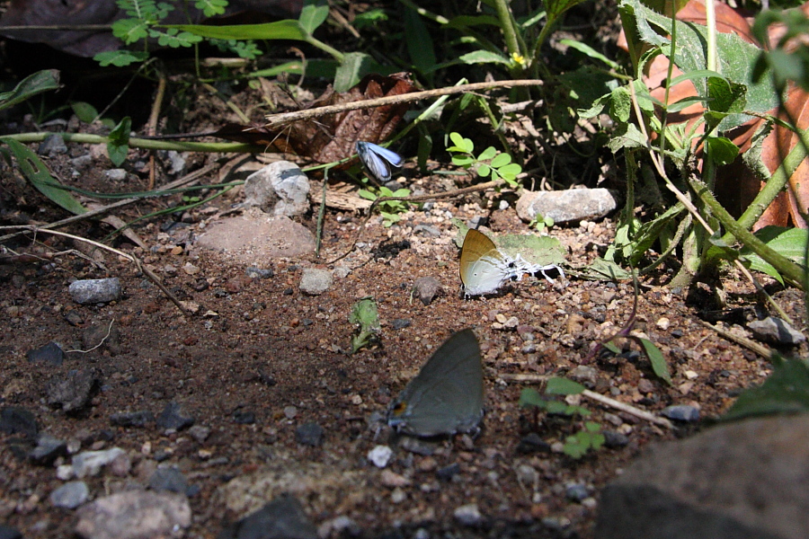 a0094850_21203384.jpg