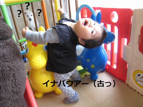 a0090451_23104543.jpg