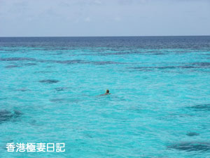 f0190653_9292865.jpg