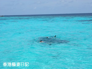 f0190653_9315295.jpg