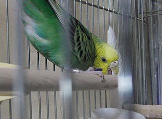f0196665_0323970.jpg