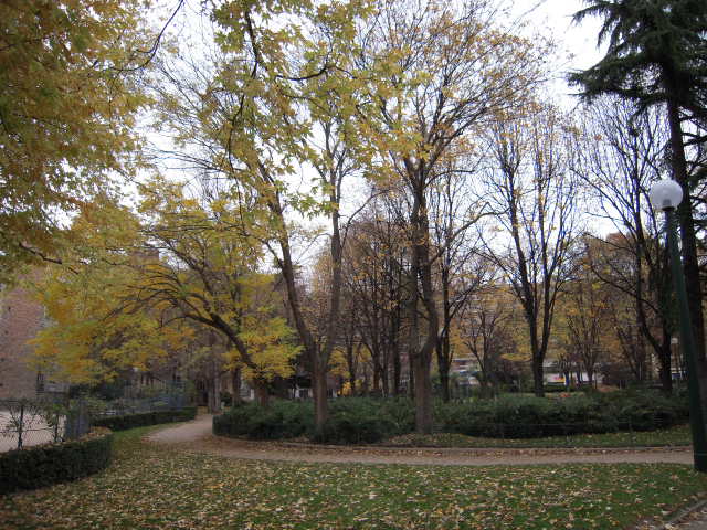 b0169771_23403051.jpg