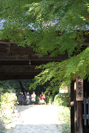 c0104371_1101110.jpg