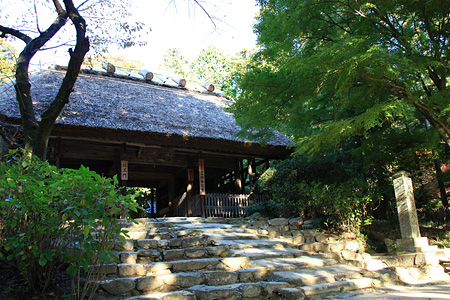 c0104371_11354789.jpg
