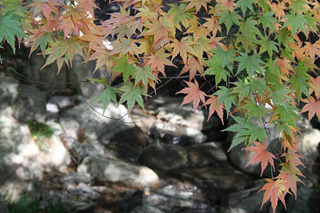 c0104371_11375938.jpg