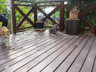 c0201371_1591735.jpg