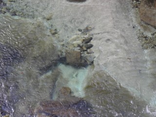 d0134473_14365831.jpg