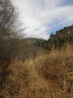 d0134473_1452145.jpg