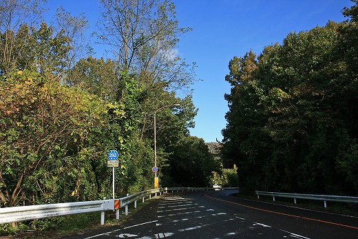 e0190885_2012219.jpg