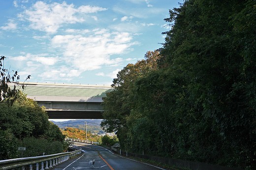 e0190885_20134913.jpg
