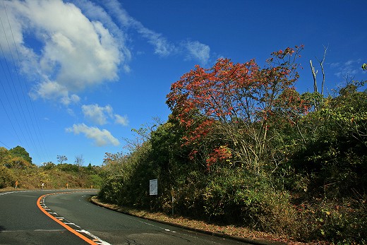 e0190885_20143776.jpg