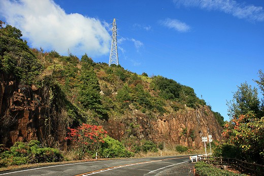 e0190885_2015014.jpg