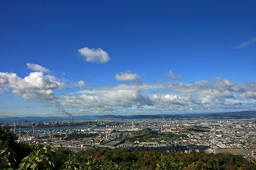 e0190885_20153977.jpg