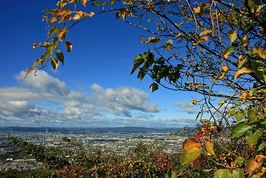e0190885_20155156.jpg