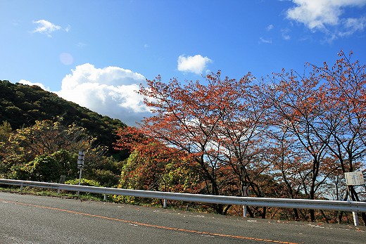 e0190885_20161158.jpg