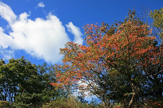 e0190885_20161781.jpg