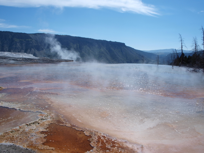 b0145289_2130159.jpg