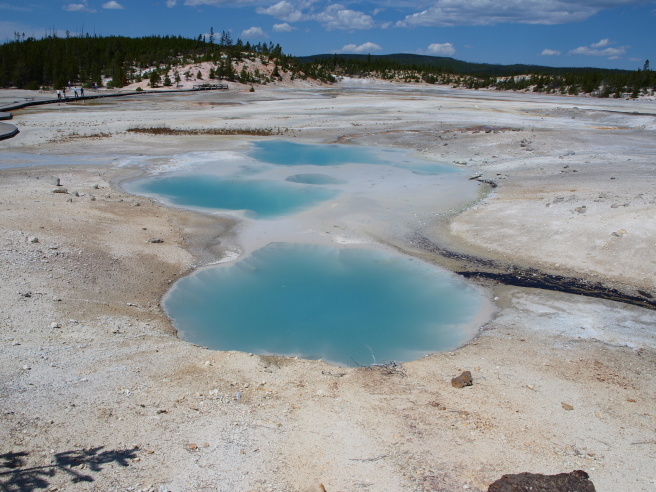 b0145289_21453629.jpg