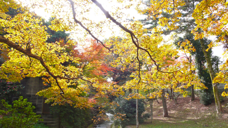 a0079292_10532911.jpg