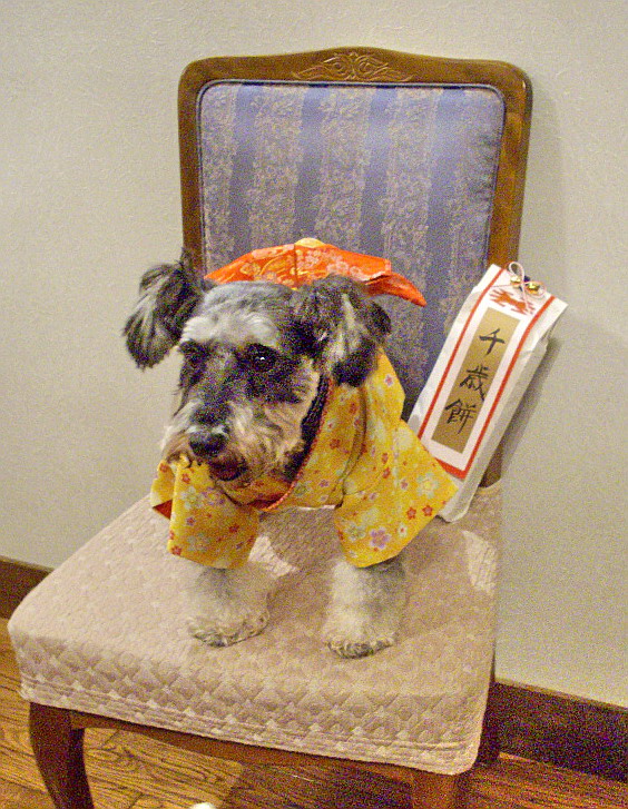 c0138198_17545445.jpg