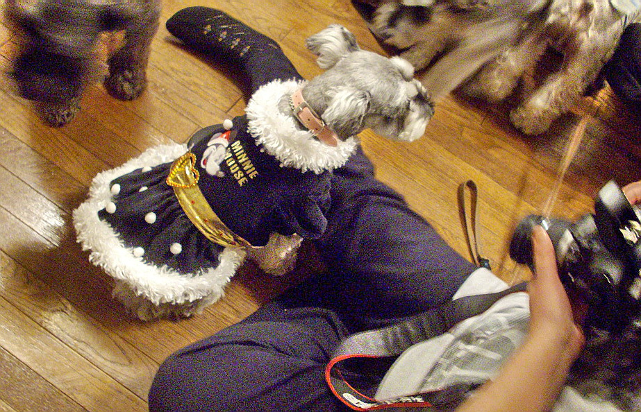 c0138198_17593577.jpg