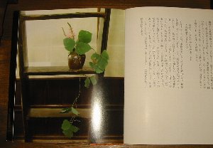 e0122199_2052096.jpg