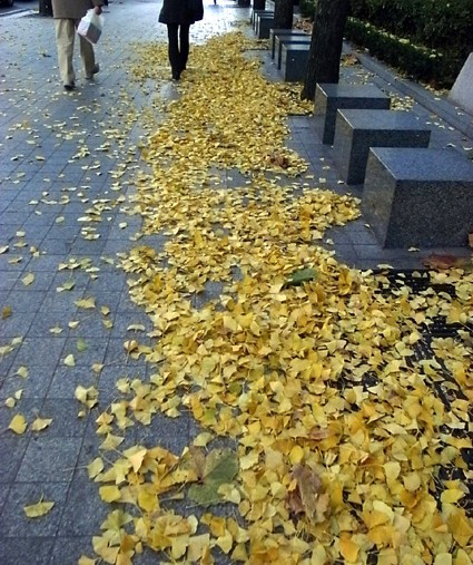 e0043700_01541.jpg