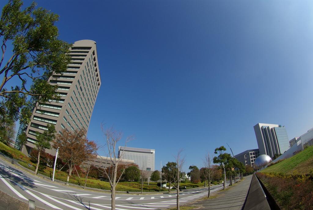 a0010602_16532164.jpg