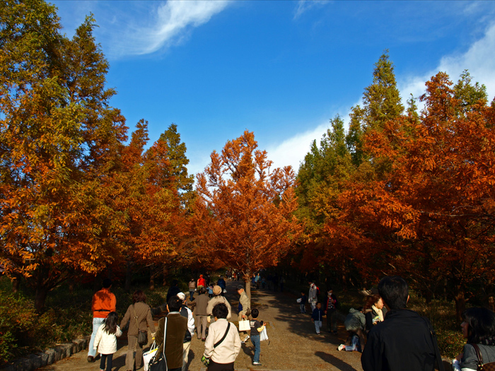 c0177502_22301267.jpg